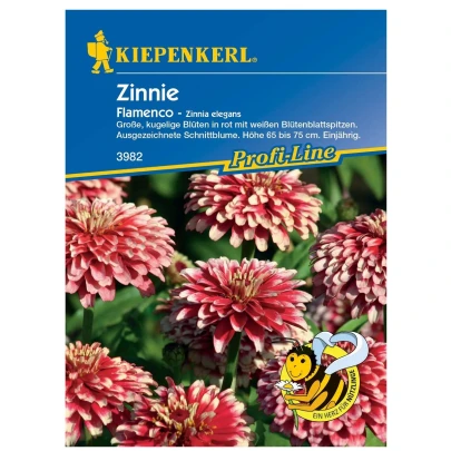 Semená cínie – Cínia Flamenco – Zinnia elegans