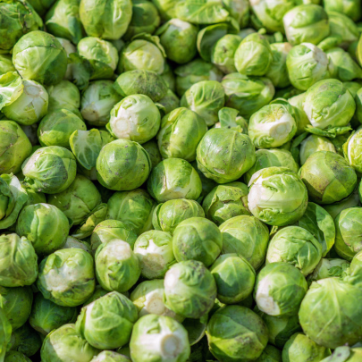 BIO Kel ružičkový Hemera F1 - Brassica oleracea - bio semená - 20 ks