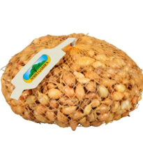 Cibuľa sadzačka Všetana - Allium cepa - cibuľky - 500 g