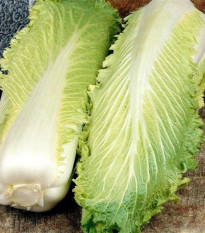 BIO Kapusta Granat - Brassica rapa pekinensis - bio semená - 100 ks