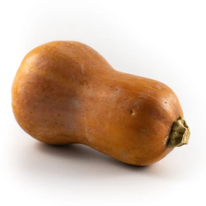 Tekvica maslová Honeynut - Cucurbita moschata - semená - 6 ks