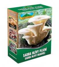 Hliva pľúcna - Pleurotus pul - sadivo - 250 ml