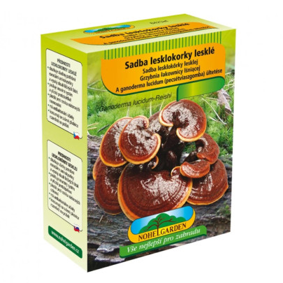 Lesklokôrka lesklá - Ganoderma lucidum - sadba - 250 ml