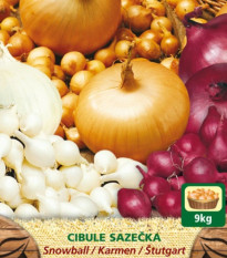 Zmes sadzačiek - Allium cepa - 3 druhy - 150 g