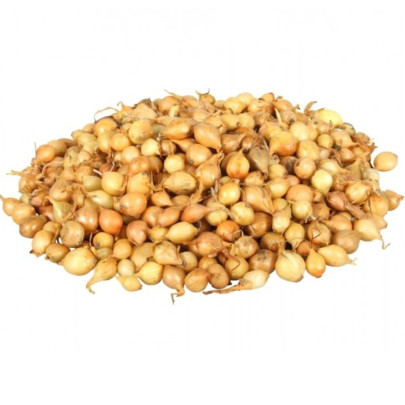 Cibul'a sadzačka Štutgart - Allium cepa - cibuľky - 500 g