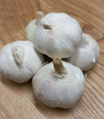 Sadbový cesnak Garpek - Allium sativum - paličák - cibuľa cesnaku - 1 balenie