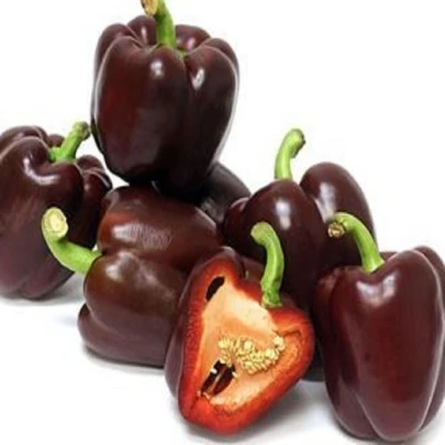 Paprika hnedá Baby bell - Capsicum annuum - semená - 8 ks