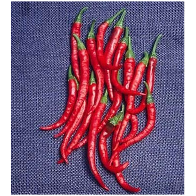 Kajenské korenie - Cayenne pepper - semená - 6 ks