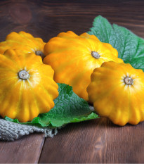 Patizón Golden Marbre - Cucurbita pepo - semená - 5 ks