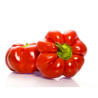 Rajčinová paprika Szuszanna - Capsicum annuum - semená - 7 ks