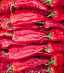 BIO Paprika Korosko - Capsicum Annuum - bio semená - 6 ks