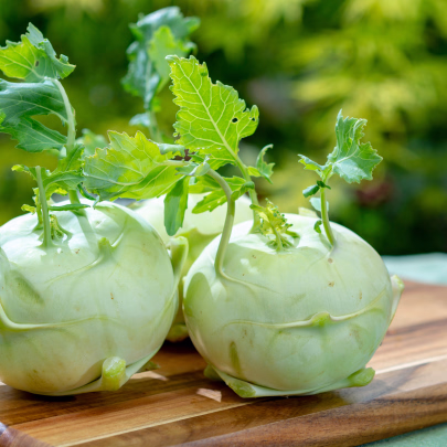 BIO Kaleráb obrí Superschmelz - Brassica oleracea - bio semená - 50 ks