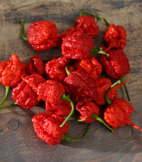 Chilli Carolina Reaper - Capsicum chinense - semená - 5 ks