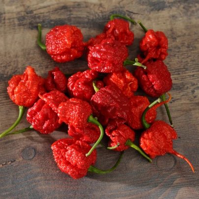 Chilli Carolina Reaper - Capsicum chinense - semená - 5 ks