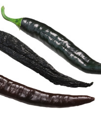 Chilli Pasilla Bajio - Capsicum annuum - semená - 7 ks