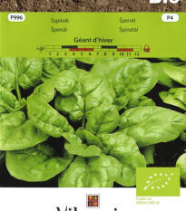 BIO Špenát Geant d'hiver - Spinacia oleracea - predaj bio semien - 10 g