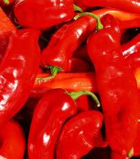 Paprika Lipari F1 - Capsicum annuum - semená - 5 ks