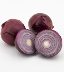 Cibuľa sadzačka Karmen - Allium cepa - cibuľky - 250 g