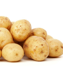 Sadbové zemiaky Carrera - Solanum tuberosum - žlté skoré - 5 kg