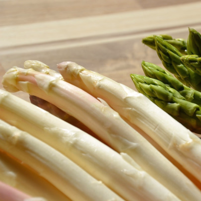 Špargľa lekárska Thielim - Asparagus officinalis - voľnokorenné sadenice špargle - 1 ks