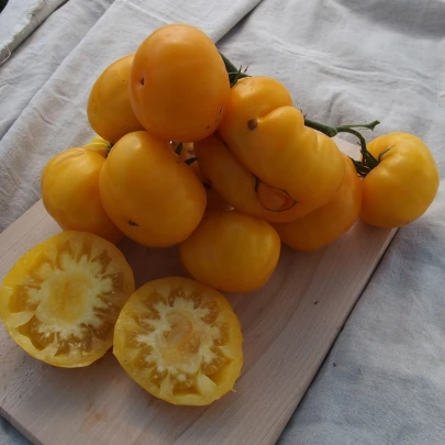 Paradajka Yellowstone - Solanum lycopersicum - semená - 15 ks