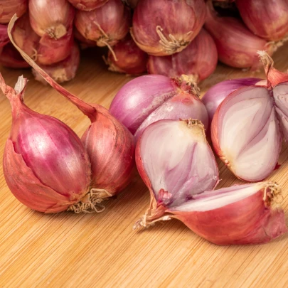 Cibuľa šalotka červená Sante - Allium Cepa - cibuľky - 500 g