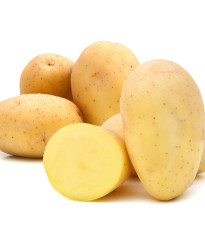 Sadbové zemiaky Monique - Solanum tuberosum - zemiaky - 10 ks