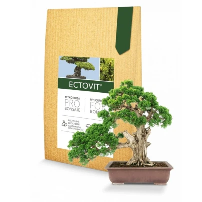 Ectovit Bonsai - mykorhíza pre bonsaje - Symbiom - 100 g