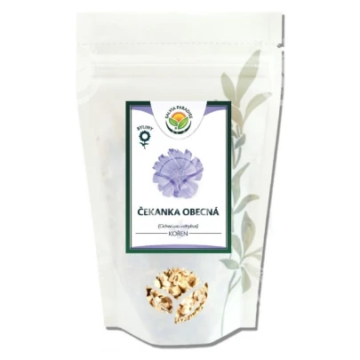 Čakanka obyčajná - Cichorium inthybus - koreň - 100 g