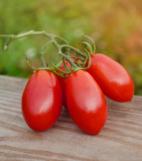 Paradajka Ravello - Solanum lycopersicum - semená - 4 ks