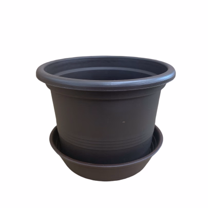 Podmiska Primavera - hnedá - 12 cm - 1 ks