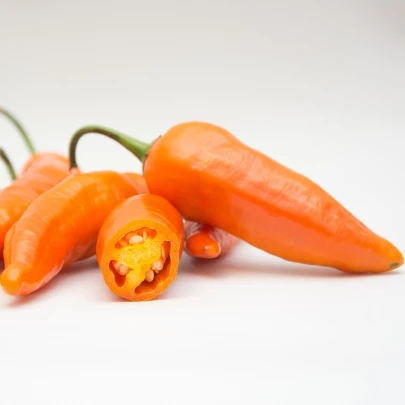 Chilli Aji Amarillo - Capsicum annuum - semená - 7 ks