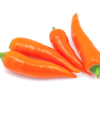 Chilli Bulharská mrkva - Capsicum annuum - semená - 6 ks