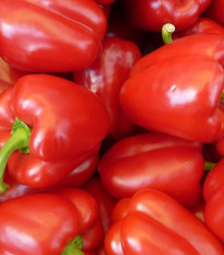 Paprika California Wonder - Capsicum annuum - semená - 20 ks