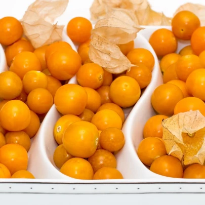 Machovka peruánska - Physalis peruviana - semená - 10 ks