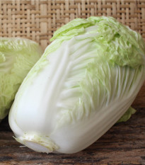 Kapusta pekinská Granaat - Brassica pekinensis - semená - 200 ks