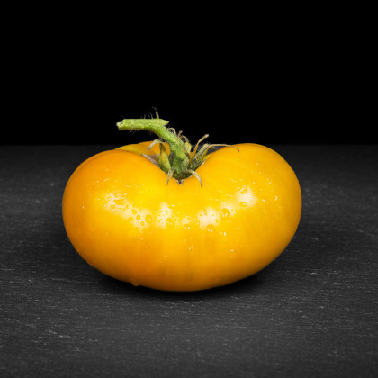 Paradajka Azoychka - Solanum lycopersicum - semená - 8 ks