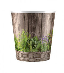 Plastový obal HERBS - obal na bylinky - 1 ks