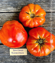 Paradajka Pantano Romanesco - Solanum lycopersicum - semena - 7 ks