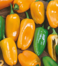 Paprika ročná Hamík - Capsicum annuum - semená - 20 ks