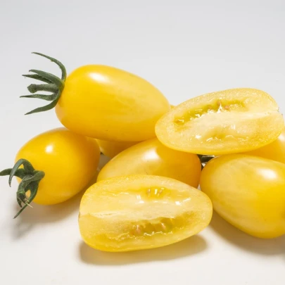 Paradajka Dattolime F1 - Solanum lycopersicum - semená - 6 ks