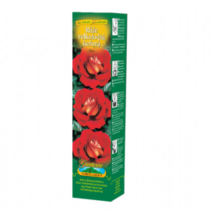 Ruža veľkokvetá kríčková červenožltá - Rosa - voľnokorenné sadenice - 1 ks