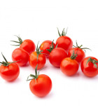 Mini odrody paradajky
