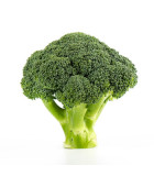 BIO brokolica