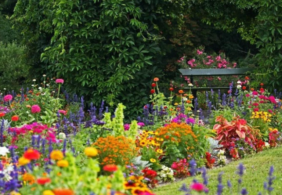 Prilákajte do záhrady včely, čmeliaky a motýle kvitnúcimi rastlinami